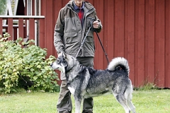 axel