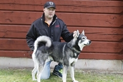 knaster
